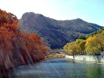 新澳门二四六天天开奖，力度控台